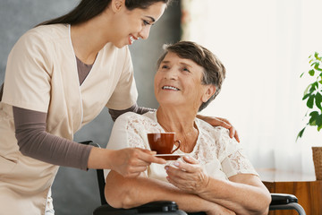 Wall Mural - Pretty smiling nurse is giving herbal tea to positive elderly lady in a wheelchair at nursing home