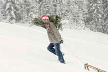 Man In Santa Hat Carrying Christmas Tree And Pulling Sleigh In Snow