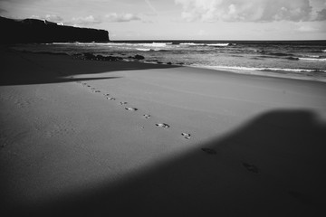 Wall Mural - Beach around Algarve, Sagres