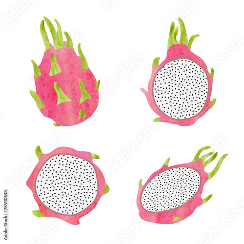 Dragon fruit vector set. Wa...