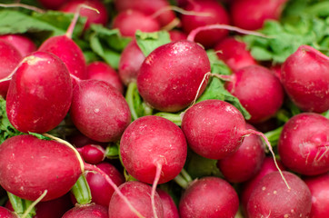Wall Mural - Close up detail of beautiful ripe red radishes 