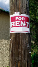 FOR RENT Sign Stapled To Telephone Pole. Some Copy Space On The Sign For The Creative.