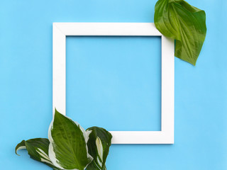 Wall Mural - Minimal creative composition - square white frame with green leaves on blue background. Flat lay, top view, copy space