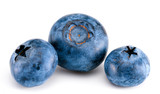 Fototapeta  - blueberries on a white background