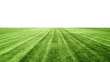 © ifiStudio - stadium grass on white background