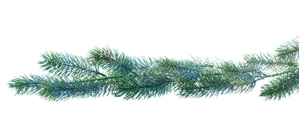 christmas garland on white