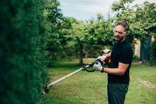 Caucasian Man Trimming An Arizonica Hedge With Mechanical Tools