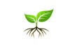 Plant icon vector