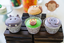 Safari Themed Cupcakes For Children's Birthday Party