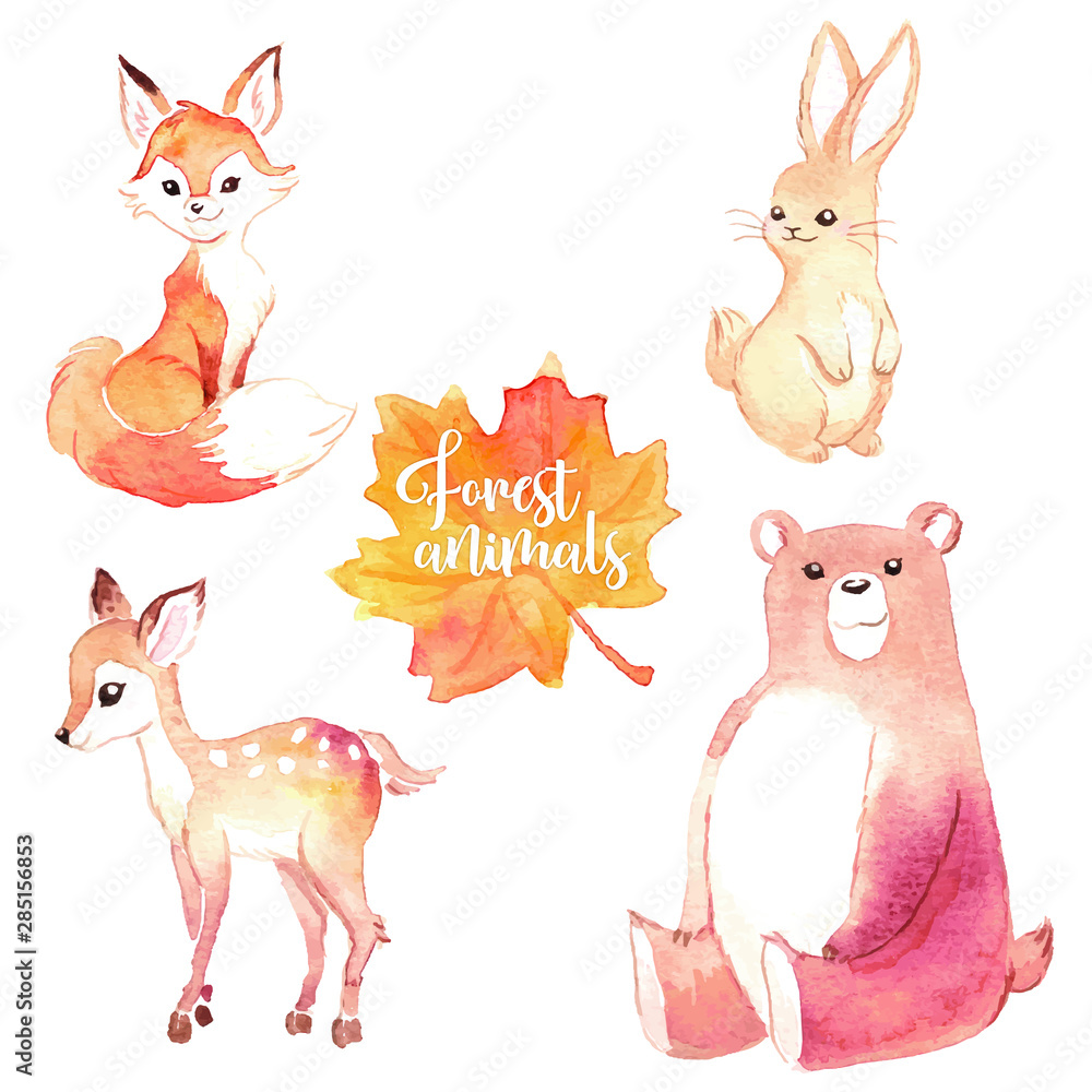 Lovely forest woodland animals set of watercolor illustrations Stock ...