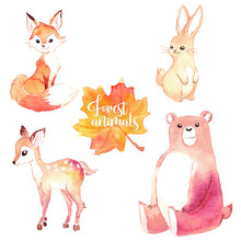 Lovely Forest Woodland Animals Set Of Watercolor Illustrations