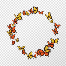 Isolated Monarch Butterfly Copyspace Circle Shape