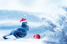 Christmas Fabulous Image. A Dove In A Santa Claus Hat Decorates A Christmas Tree In A Winter Magic Forest. New Year Card. Winter Wonderland.