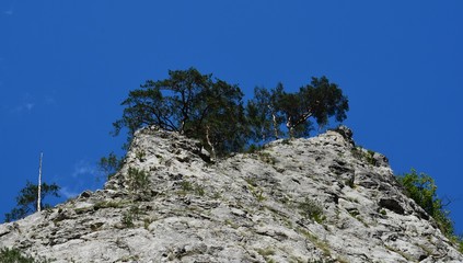 Ramet canyon from the Apuseni mountains - Romania