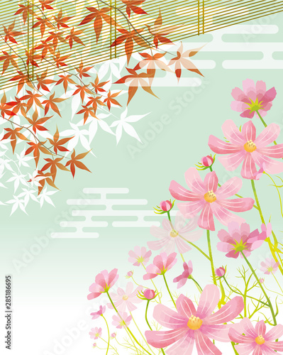 秋桜 10月 11月 9月 秋 花 紅葉 花びら 水彩 暖簾 Buy This Stock Vector And Explore Similar Vectors At Adobe Stock Adobe Stock