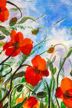 Red Poppies In Grass Against A Blue Sky - Oil Painting - Beautiful Summer Flowers, Floral Landscape