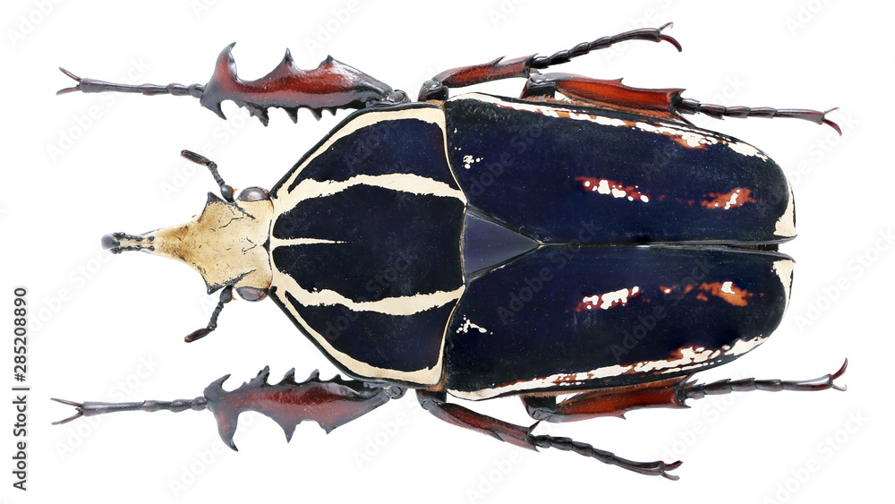 Porno onalar 50 yoshda