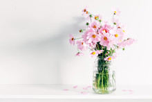 Fresh Summer Bouquet Of Pink Cosmos Flowers In Glass Vase On White Wood Shelf On White Wall Background. Floral Home Decor.