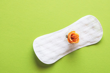 A regular sanitary pad on an isolated background