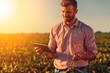 © Zoran Zeremski - Farmer standing in soybean field looking at tablet at sunset.