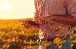 © Zoran Zeremski - Close up of farmers hands with tablet on soybean filed at sunset.