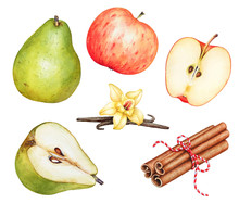 Watercolor Red Apples, Green Pears, Cinnamon Sticks And Vanilla Sticks With Flower.