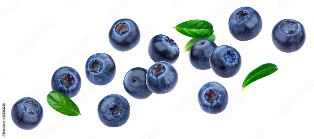 Blueberry isolated on white background with clipping path - obrazy, fototapety, plakaty 