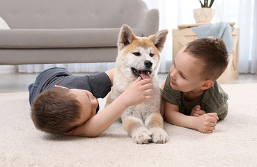 Wall Mural - Happy boys with Akita Inu dog on floor in living room. Little friends