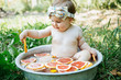 © kaloriya - A little girl bathes in a basin with grapefruit in the garden