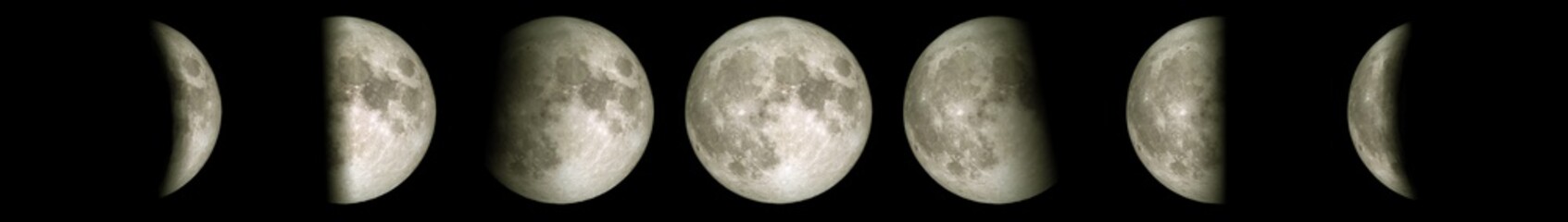 Wall Mural - phases cycle of the moon in the night sky. (elements of this image furnished by nasa.)