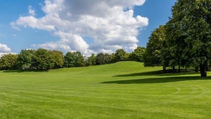 Wall Mural - Park