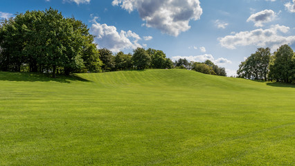 Wall Mural - Parklandschaft