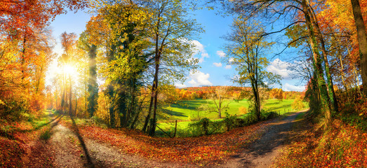 Gorgeous colorful panoramic landscape in autumn