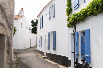 Wall Mural - little street with white houses in France Ile de Noirmoutier