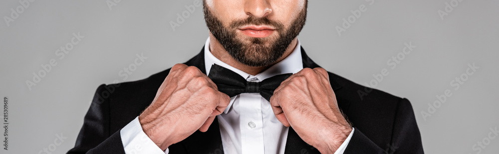 cropped view of elegant man in black suit fixing bow tie isolated on grey, panoramic shot - obrazy, fototapety, plakaty 