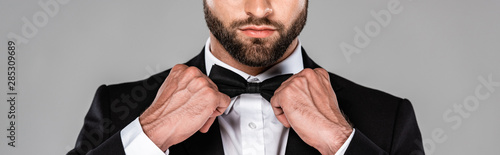 Fotomural cropped view of elegant man in black suit fixing bow tie isolated on grey, panor