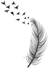 Sticker - Realistic Feather Bird Illustration