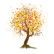 © milavas - autumn tree