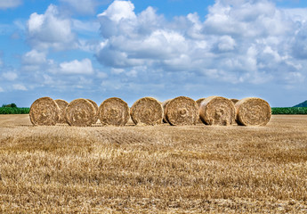 Sticker - A few hay bales aligned on an harvested farmland