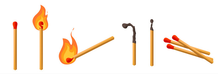 matches set. burning match with fire, match charcoal. lights. vector illustration cartoon style isol