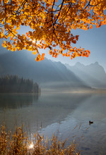 Autumn Foliage And Fog Lake In Morning