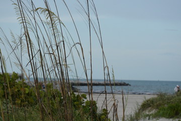 Gulf Coast at Sunset