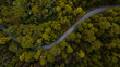 © Yakov Knyazev/Stocksy - Curvy road in the forest