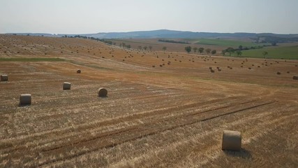 Wall Mural - Round dried haystacks in the field