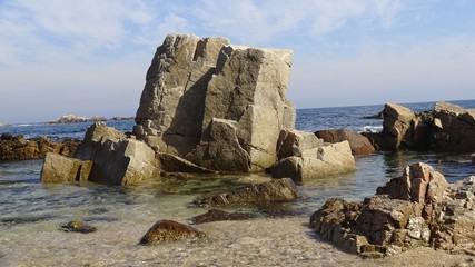 Landscape of rocky beach and nature