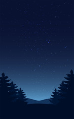 Night sky landsacape. Forest at night and star on sky.