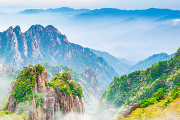Wall Mural - landscape of mount huangshan (yellow mountains). unesco world heritage site. located in huangshan, a