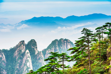 Wall Mural - landscape of mount huangshan (yellow mountains). unesco world heritage site. located in huangshan, a