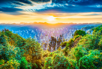 Wall Mural - landscape of zhangjiajie. tianzi mountain scenic area. located in wulingyuan scenic and historic int