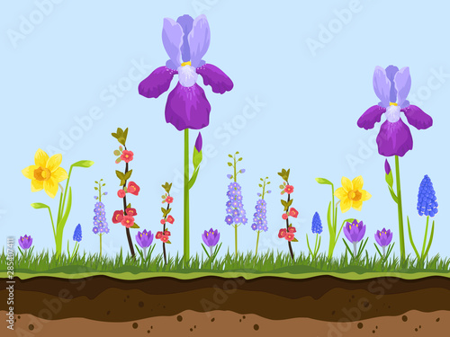 artoon field flowers, green grass and earth layers on blue background vector ...